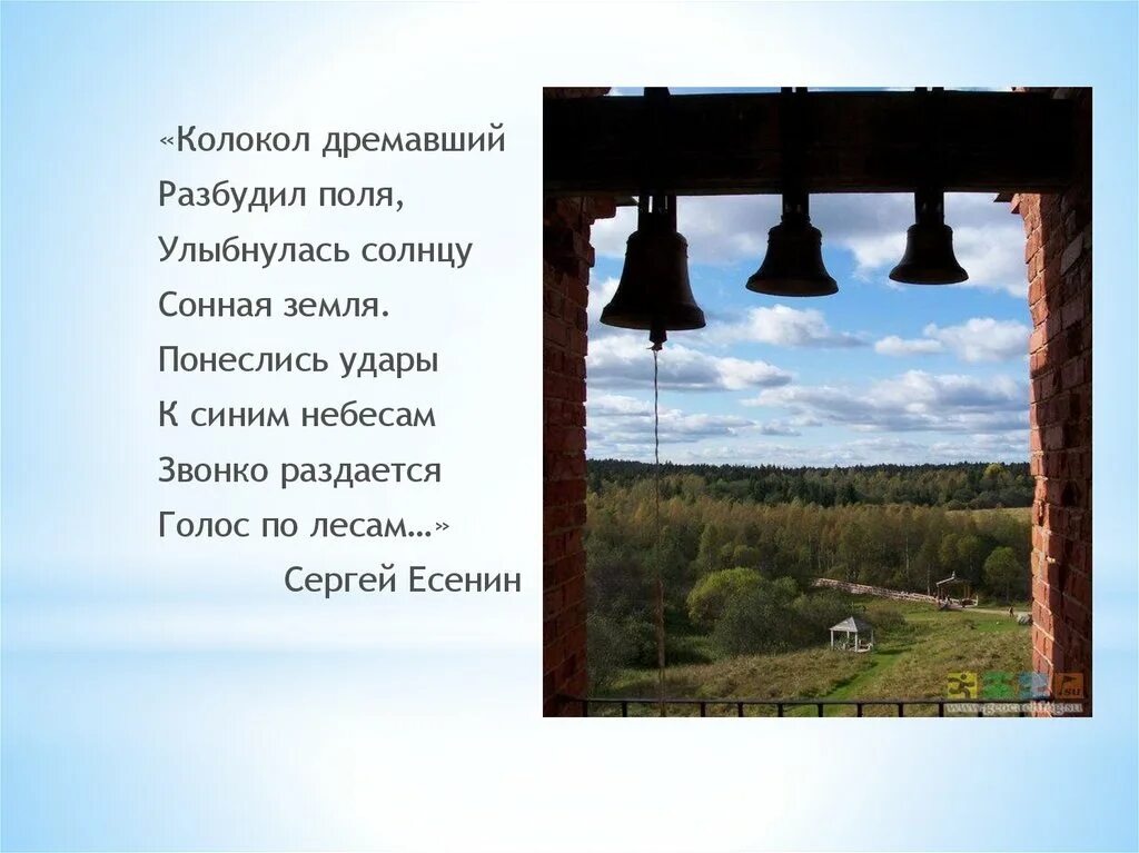 Стихи Есенина колокол дремавший. Ксенин колокол дремвший. Есенин колокол дремавший разбудил. Голос в лесу стих