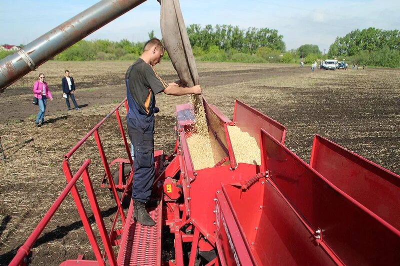 Погода омская золотая нива. Село Золотая Нива Оконешниковский район Омская область. Кран для фермерского хозяйства. Сельское хозяйство Омской области. Посевная в Омской области.