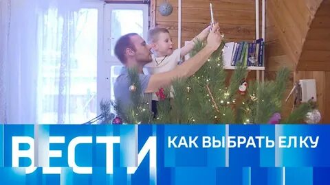 Дом 2 выпуск 25.12 23