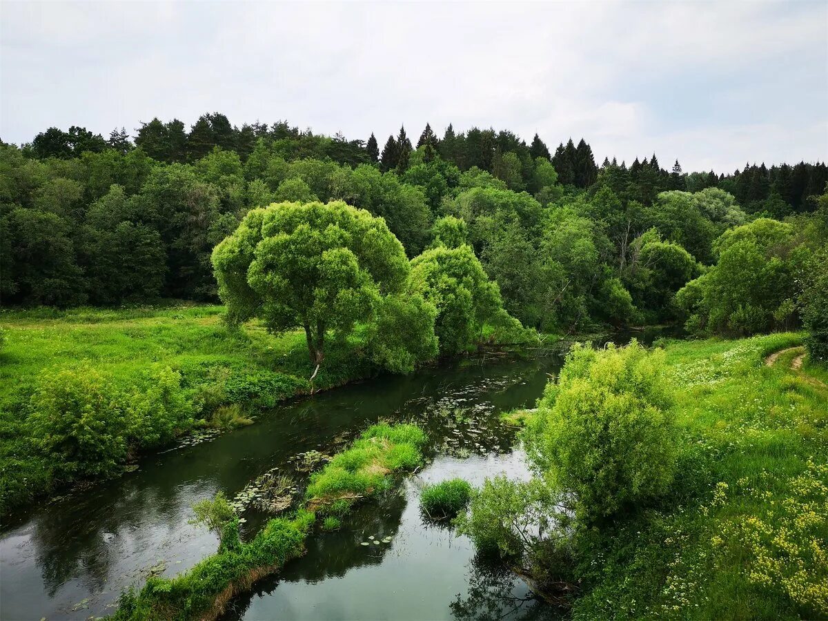 река лужа калужская область. река лужа. река лужа. река карижа малоярославец. река лужа калужская область.