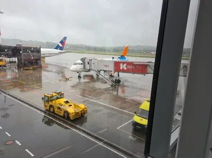 Сочи петрозаводск
