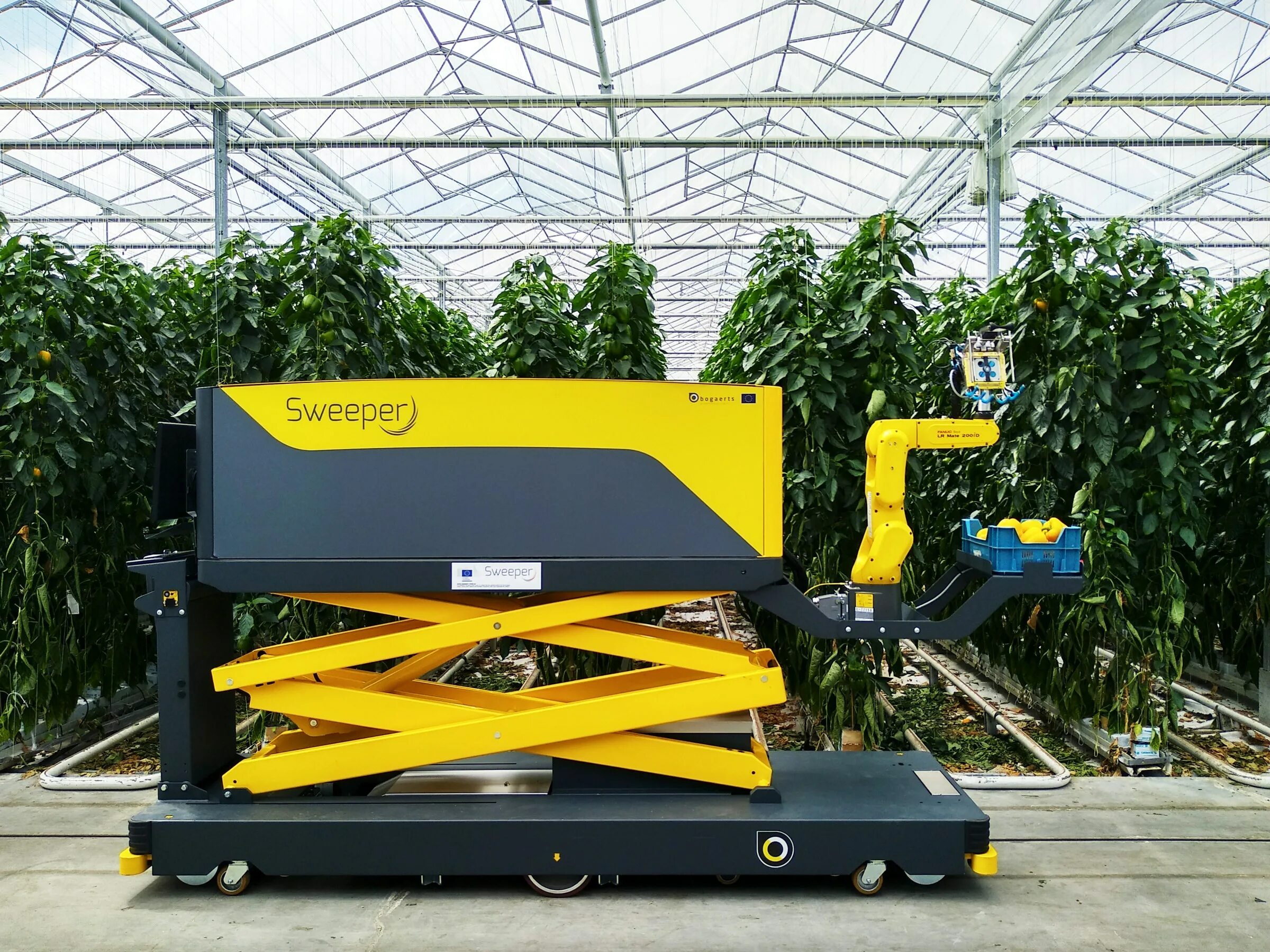 Sweeper robot. Frrobotics робот для сбора урожая. Робот огородник. Умные роботы для сбора урожая перца. Greenhouse Robot.