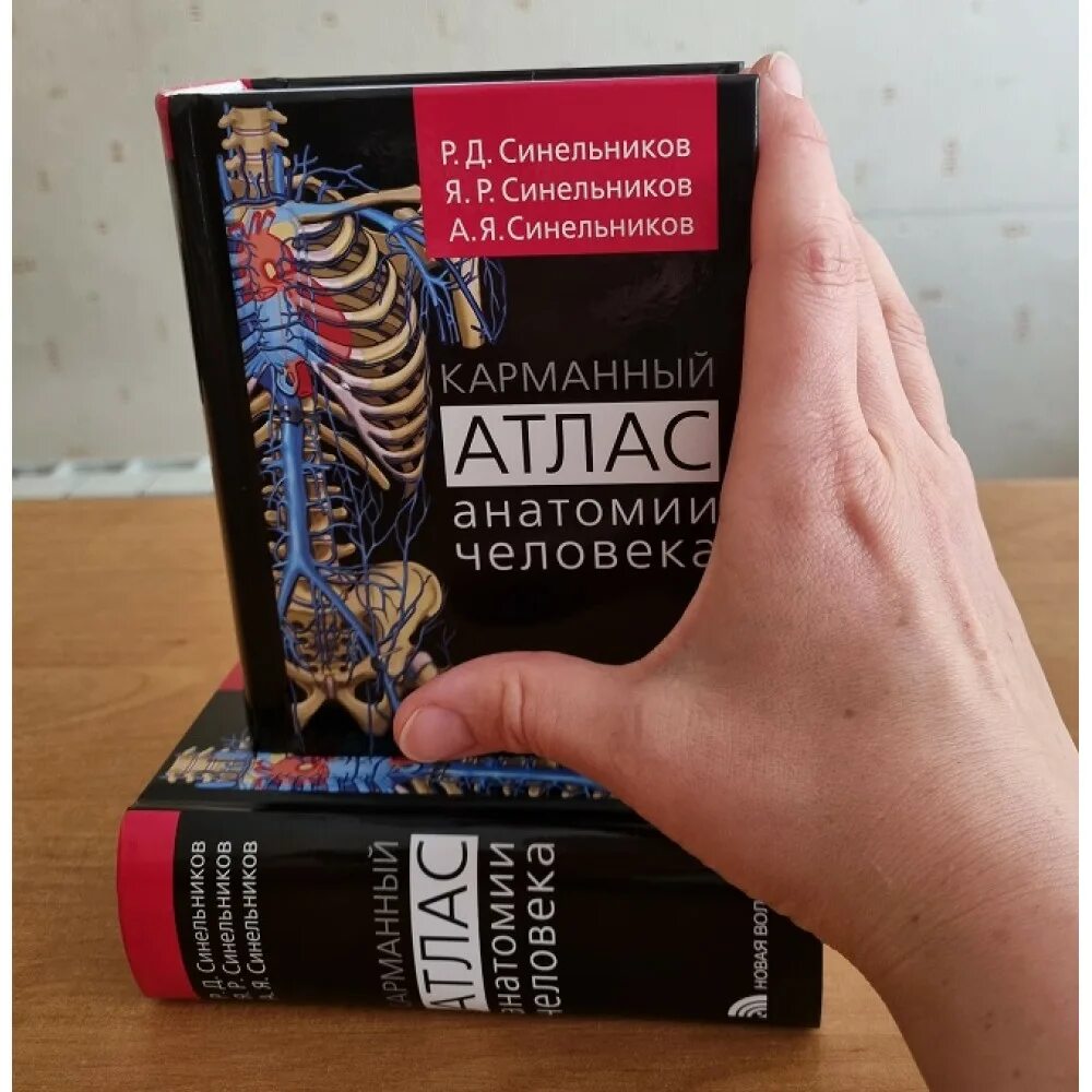 Атлас анатомии человека р. Атлас анатомии человека р. Д. Синельников р д атлас анатомии. Синельникова в 4 томах.