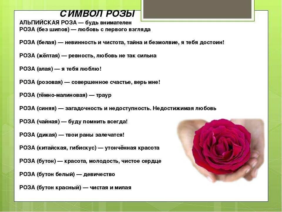 Какое число роз дарят. Значение цвета роз. цвет роз и их значение. что означает цвет роз. что обозначает цвет поз.