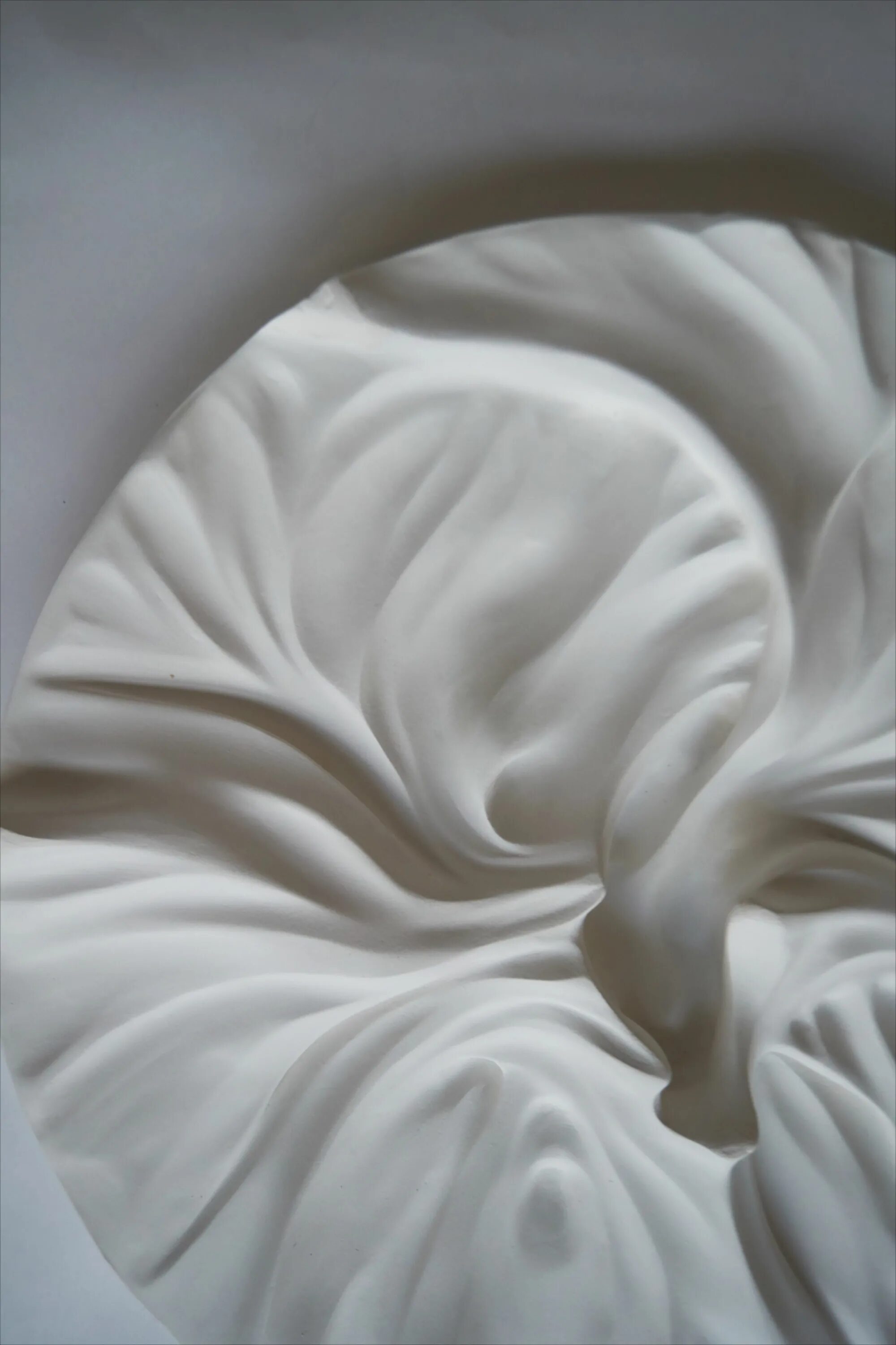 Гипс бинт сафикс плюс 3м х 20 мм купит. Гипсовая ткань. Гипс ткань. Ботанический рельеф из гипса. Цветы из гипса.