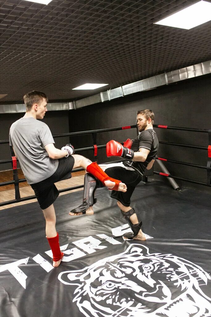 Подготовка в единоборствах. Тренировки по смешанным единоборствам. Муай тай тренировки. Спортивные единоборства бокс. Единобортватренировка.