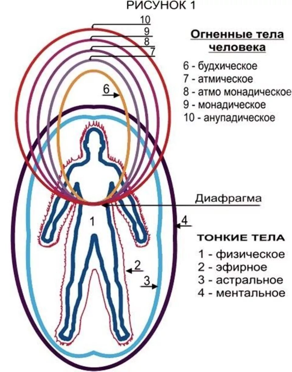 Структура тонких тел человека. Тела человека астральное ментальное. Оболочки тела человека энергетические. Схема тонких тел человека и их функции. Земля как тело человека