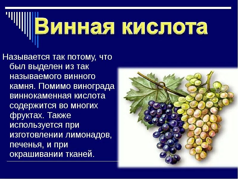 Где находится кислоты. Винная кислота биологическая роль. Винная и Виноградная кислоты. Винная кислота содержится. Кислота в винограде.