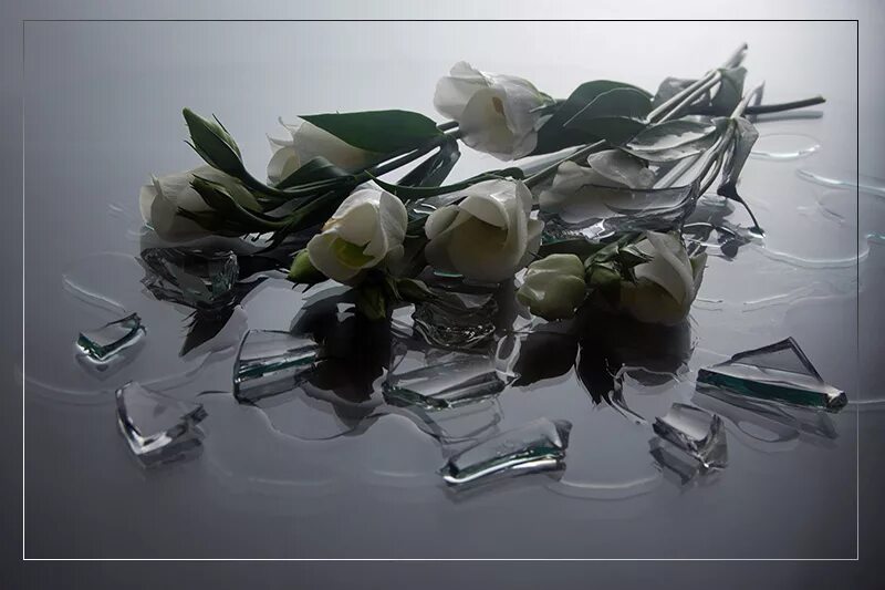 Красиво разобьюсь. Разбитая стеклянная ваза. Разбросанные цветы. Разбитая ваза с розами.