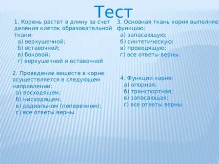 Почему корни растут в течении всей жизни