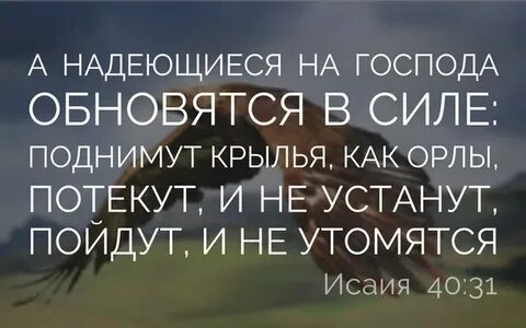 Надеющиеся на господа