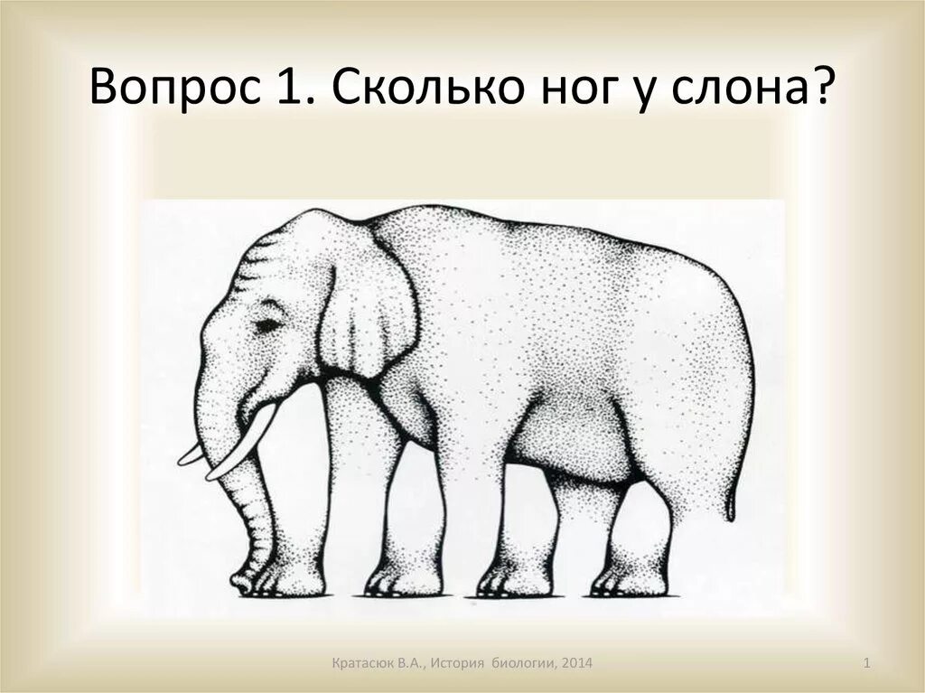 Как засунуть слона в холодильник. Невозможный слон. Иллюзия со слоном. Сколько ног у слона. Оптическая иллюзия ноги у слона.