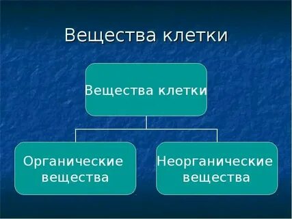 Неорганические вещества клетки конспект 10 класс биология