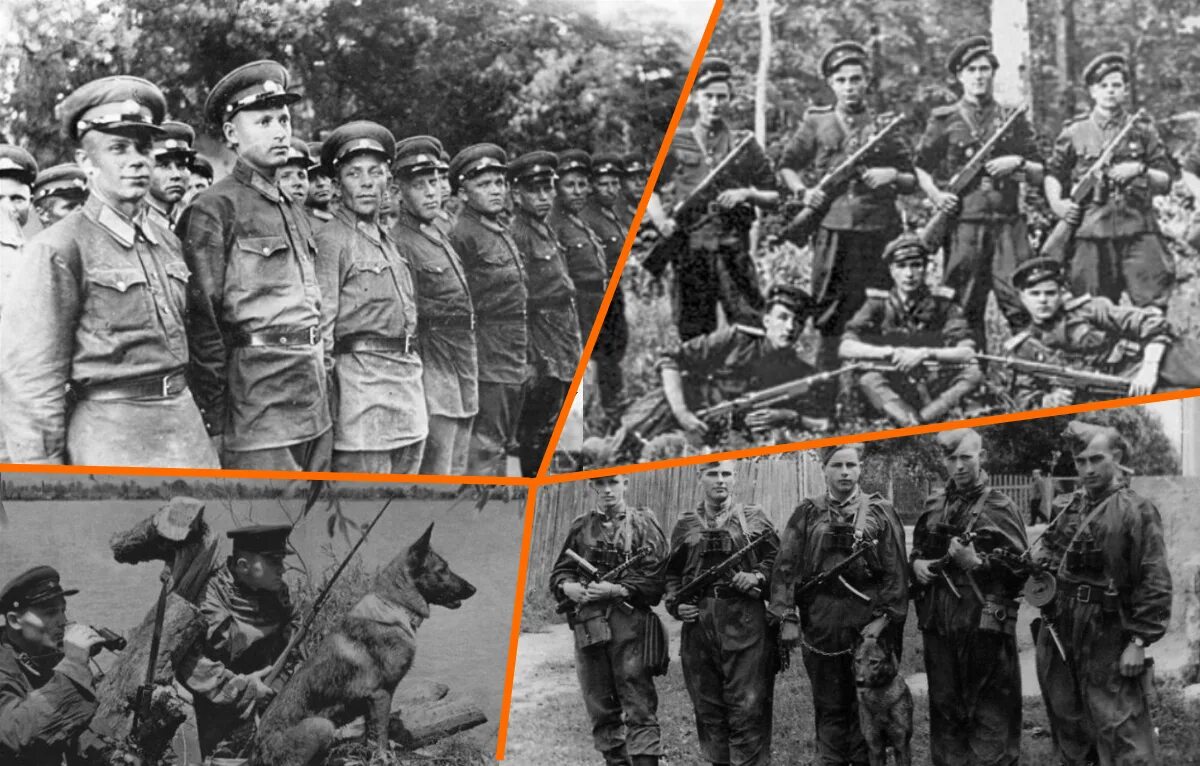 Знак заслуженный работник нквд ссср. 10-я дивизия нквд в сталинграде. 10 стрелковая дивизия войск нквд в сталинградской битве. Конвойные войска нквд 1941. 10-й дивизии нквд в сталинграде архив.