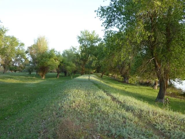 Астраханской области енотаевский район село енотаевский погода