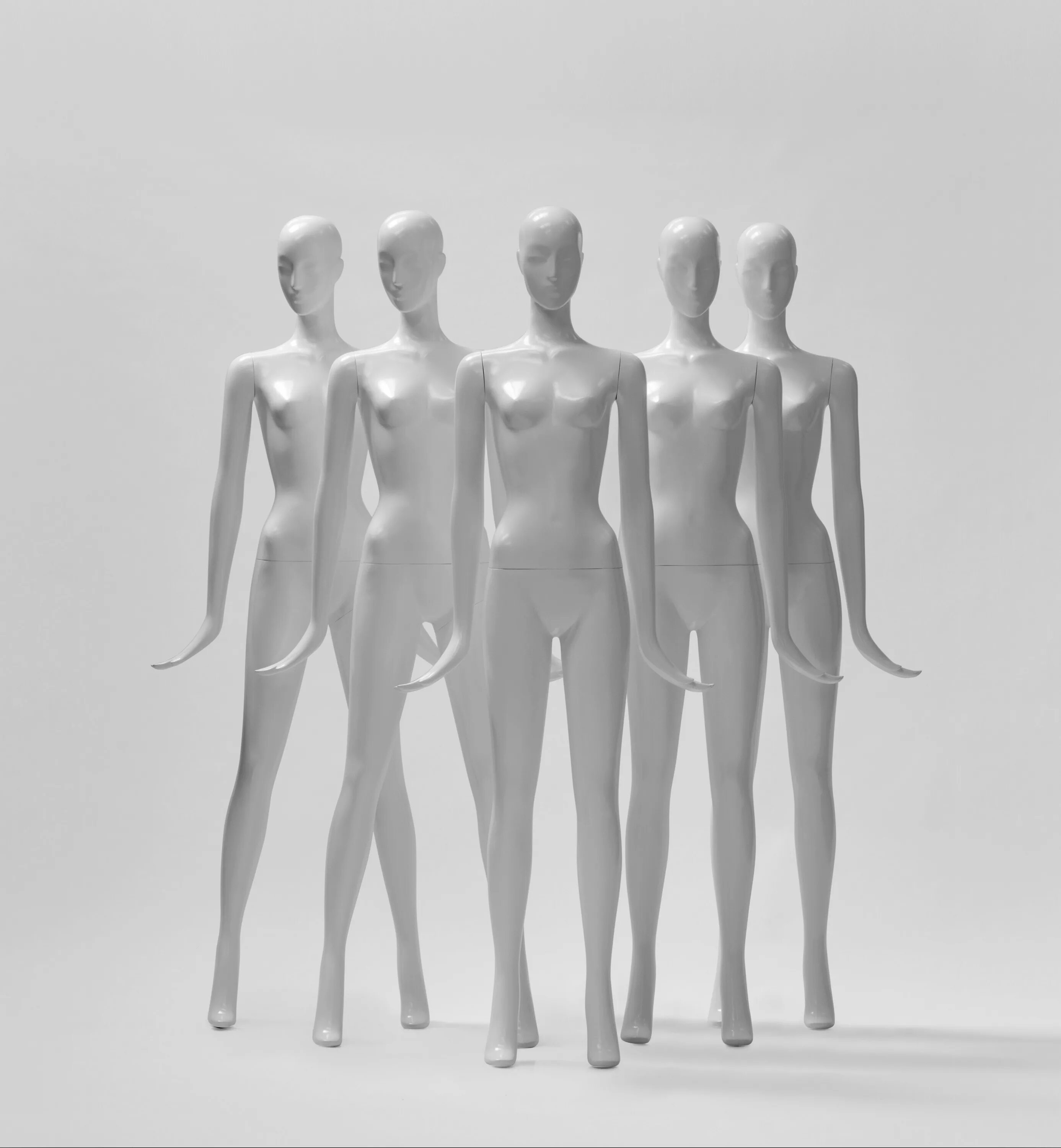 Манекен зверя. Студия сухарева таксидермия. Современные манекены. Манекены для таксидермии. Фешион дизайнер.