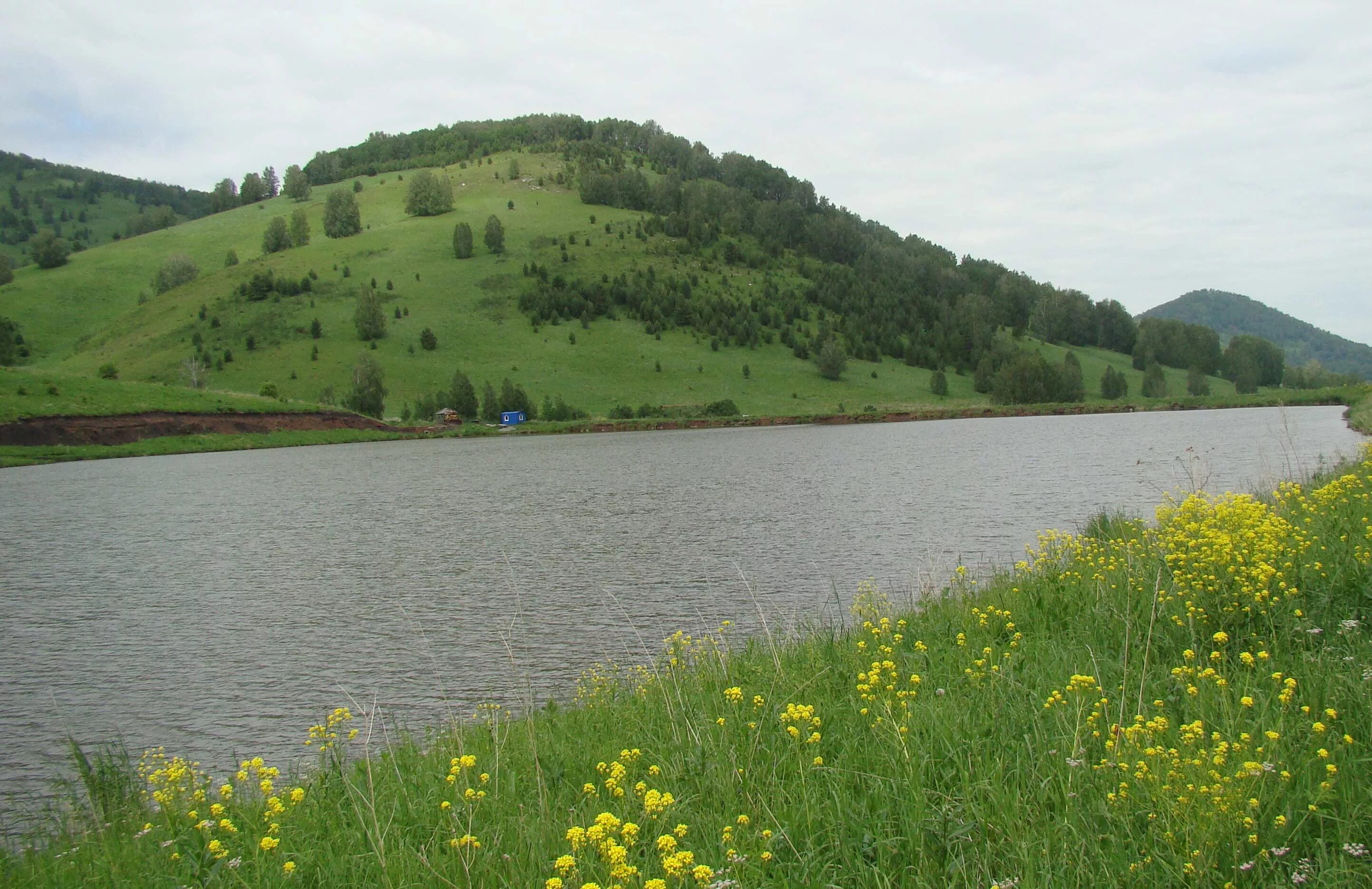 Погода в победиме алтайский край. Алтайский край Красногорский район с Красногорское. Каменка Красногорский район Алтайский край. Природа Красногорского района Алтайского края. Алтайский край Красногорский район село Каменка.