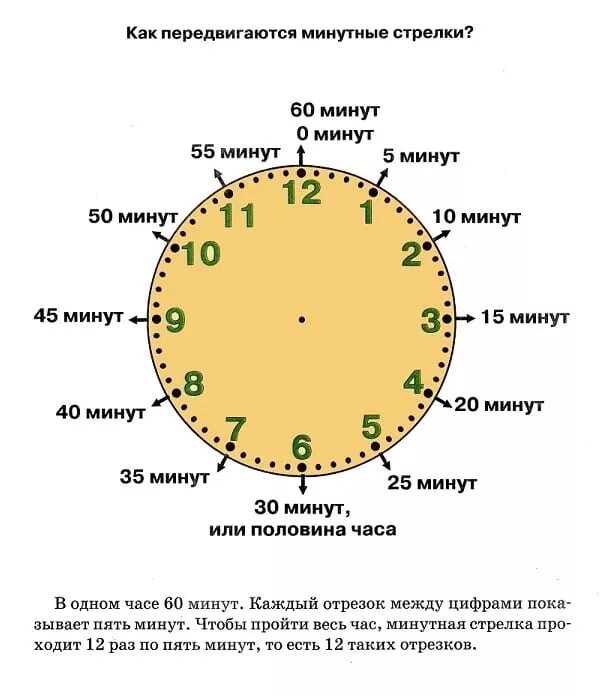 Минута постоянный. Как научиться определять время по часам со стрелками детям. Научить ребёнка понимать время на часах со стрелками. Как научиться понимать часы со стрелками. Научить ребёнка понимать время по часам.