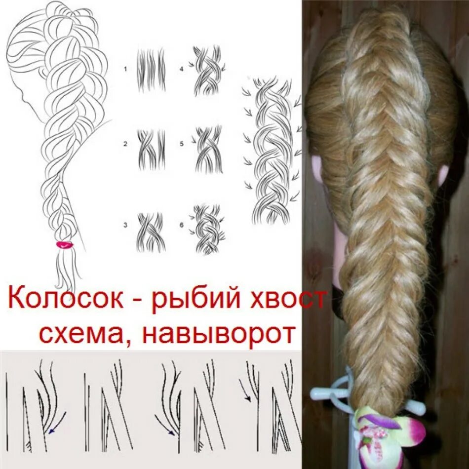 Схема плетения колоска для начинающих ребенку Пин от пользователя Nishi Sonu на доске *° ◀ ◀ °*◀ HAIRSTYLESss ◀ °*◀ Уроки по у