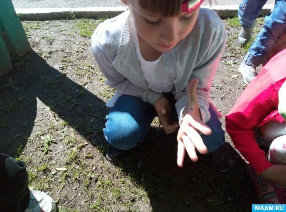 Прогулка наблюдение за насекомыми в средней группе. Дети наблюдают за муравьями. Прогулка в старшей группе наблюдение за насекомыми летом. Наблюдение за МУРАВЬЕМ старшей группе на прогулке. Наблюдаем за муравьями