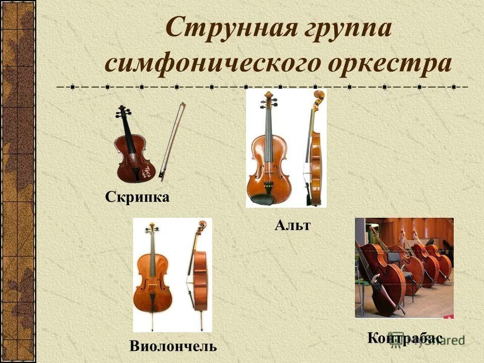 Струнно смычковая группа. Струнно-смычковые инструменты симфонического оркестра. Струнные смычковые деревянные духовые медные духовые ударные. Оркестр струнно смычковых инструментов. Группа струнно смычковых инструментов.