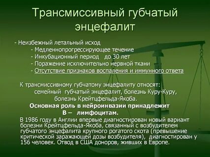 Энцефалит инкубационный