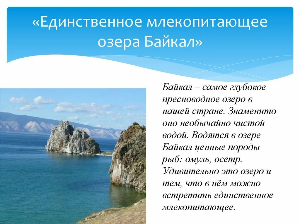 Факты про озеро байкал. Интересные факты о Байкале. Буклет озеро Байкал. Озеро Байкал интересные факты. Брошюра озеро Байкал.