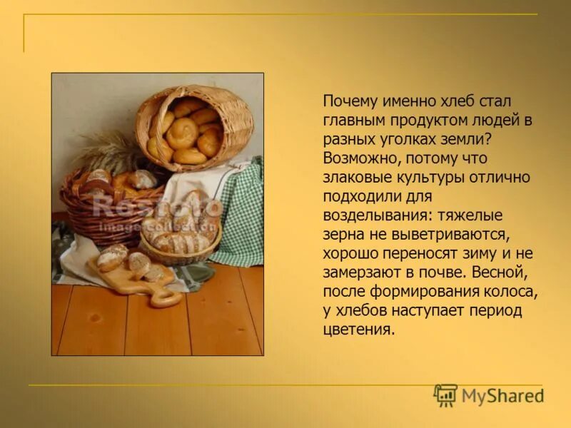 Можно ли есть бездрожжевой хлеб при похудении. Белый хлеб в магазине. Презентация на тему хлеб. Почему хлеб белый. Можно ли есть чёрный хлеб при похудении.