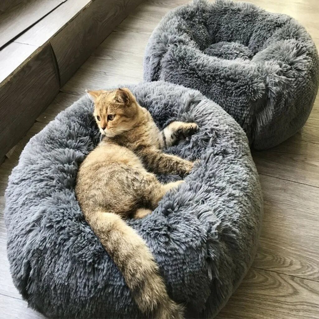 Round cat. Лежанка для котов. Лежанка для кошек и собак. Пушистая лежанка для кошек. Кот в кровати.