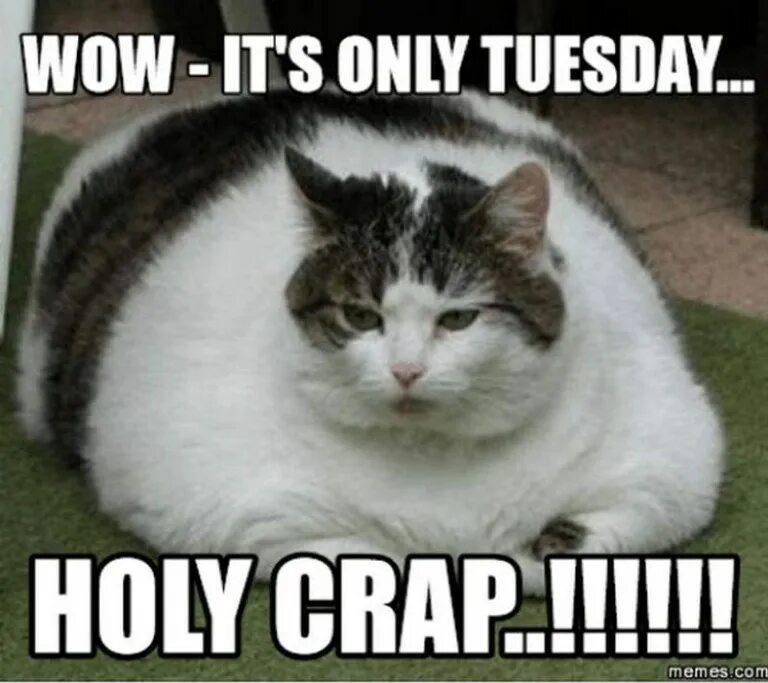 Итс онли туесдей. Clauses of concession в английском языке. Tuesday meme. Worksheets english grammar. Linking words в английском.