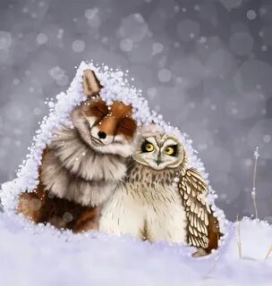 Заяц и сова