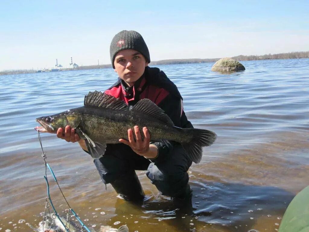 Десногорское водохранилище Смоленская область. Смоленск Десногорское водохранилище. Водохранилище в Смоленской области Десногорск. Смоленское водохранилище Десногорск. Клев в десногорске