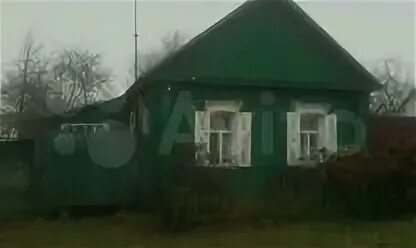 Чуровичи климовского. Чуровичи брянская область. Чуровичи климовского. Погода чуровичи брянская. Чуровичи климовского.