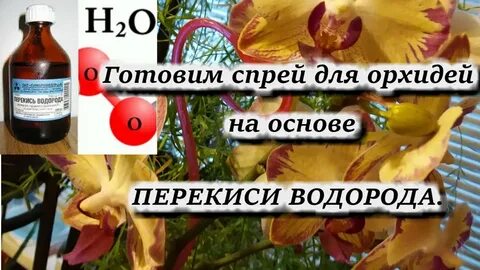 Полить перекисью водорода
