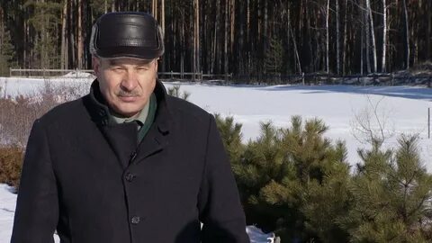 Более сорока лет