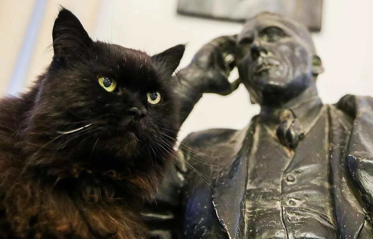 Как зовут кота из мастера. Кот бегемот из мастера и маргариты. кот бегемот в музее булгакова. музей булгакова в москве кот бегемот.