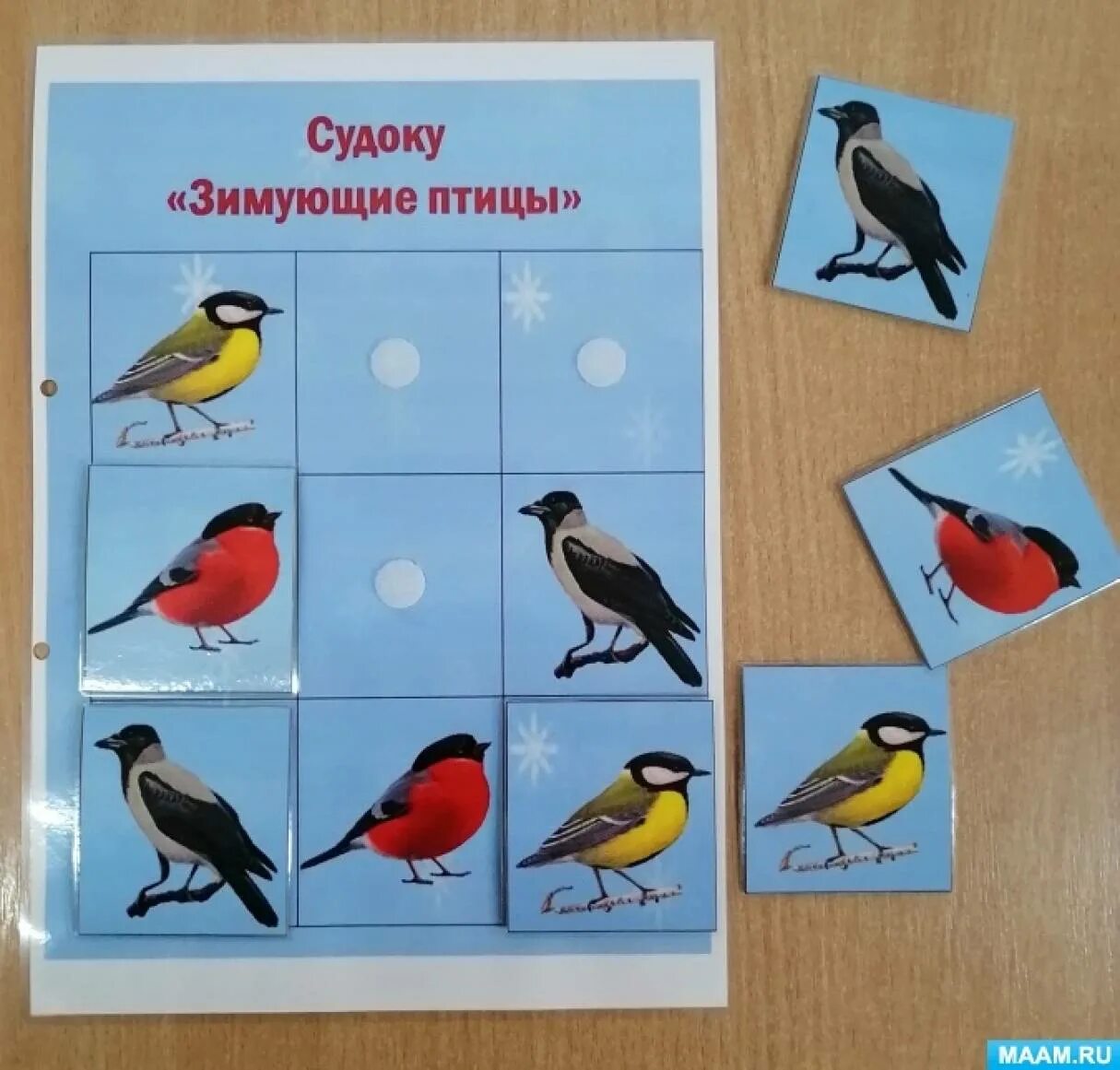 Зимующие птицы средняя группа. Зимующие птицы средняя группа