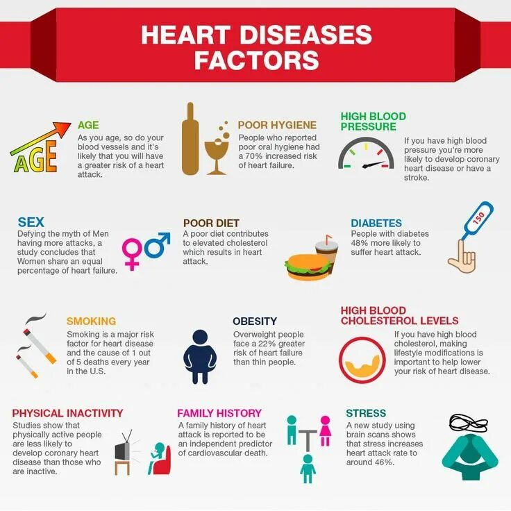 Recipe for target failed. Сердце инфографика. здоровое сердце инфографика. risk of heart disease. risk factors for cardiovascular diseases.