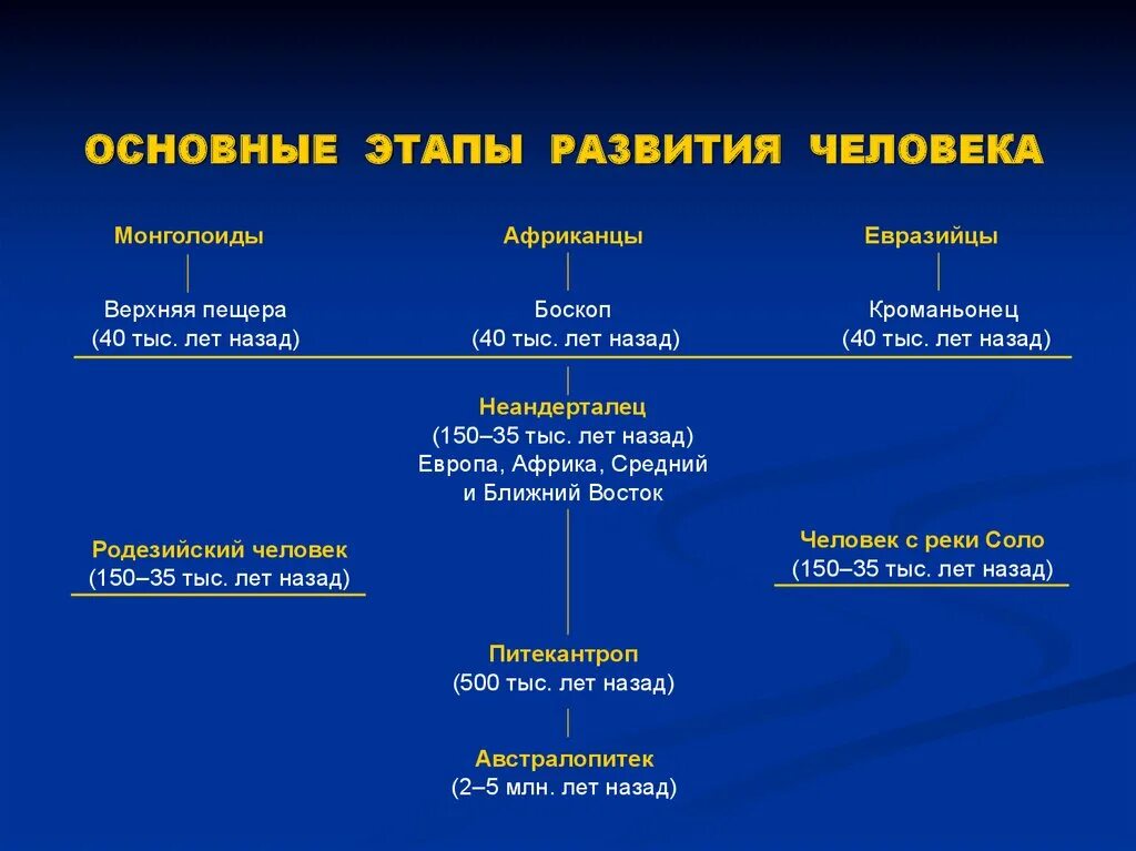 Этапы развития человека 9 класс. Основные этапы развития человека. Основные этапы эволюции человека. Основныетапы развития человека. Основное этапы эволюции человека.