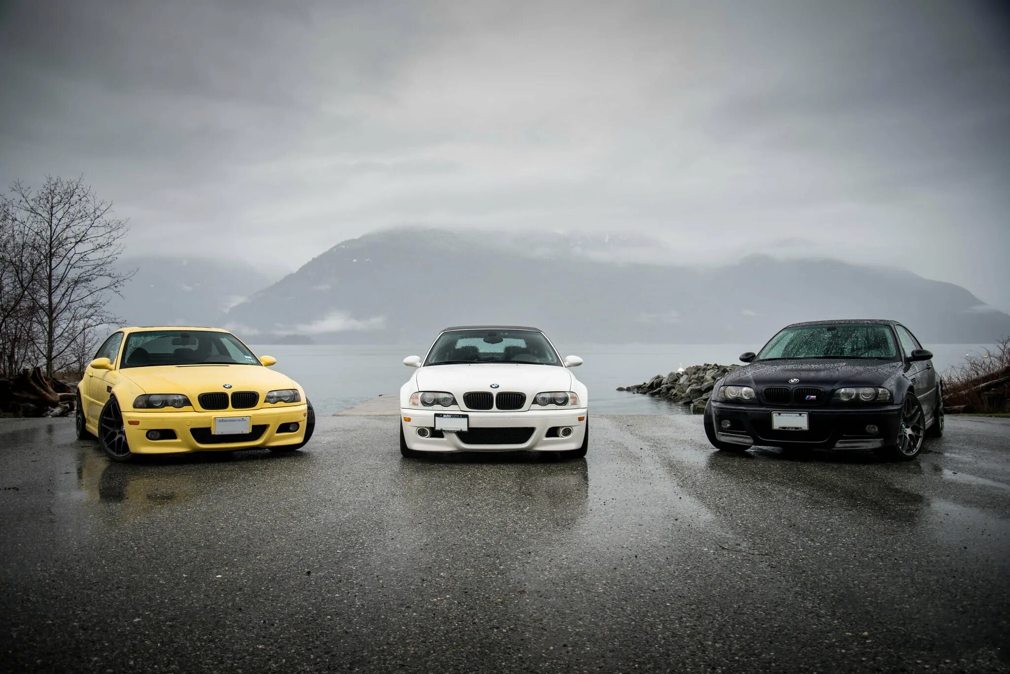 Брат тачки. BMW m3 белая. BMW m3 e46 Yellow. BMW m3 e46 Black. BMW e46 черно желтый.