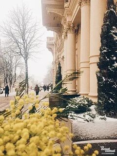 Ростов вв