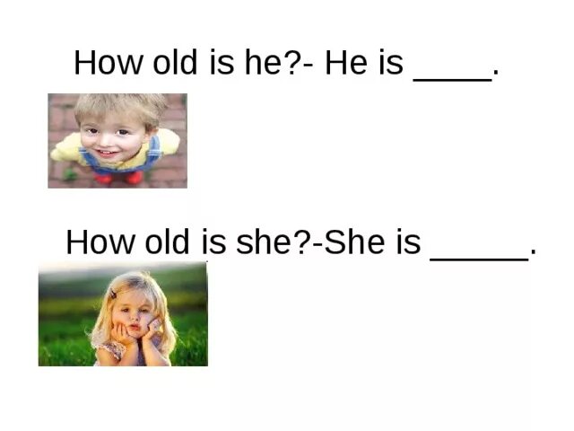 Ответьте на вопросы how old are you. How old. How old is he she. How old are you картинки. Задания на тему how old is he/she.