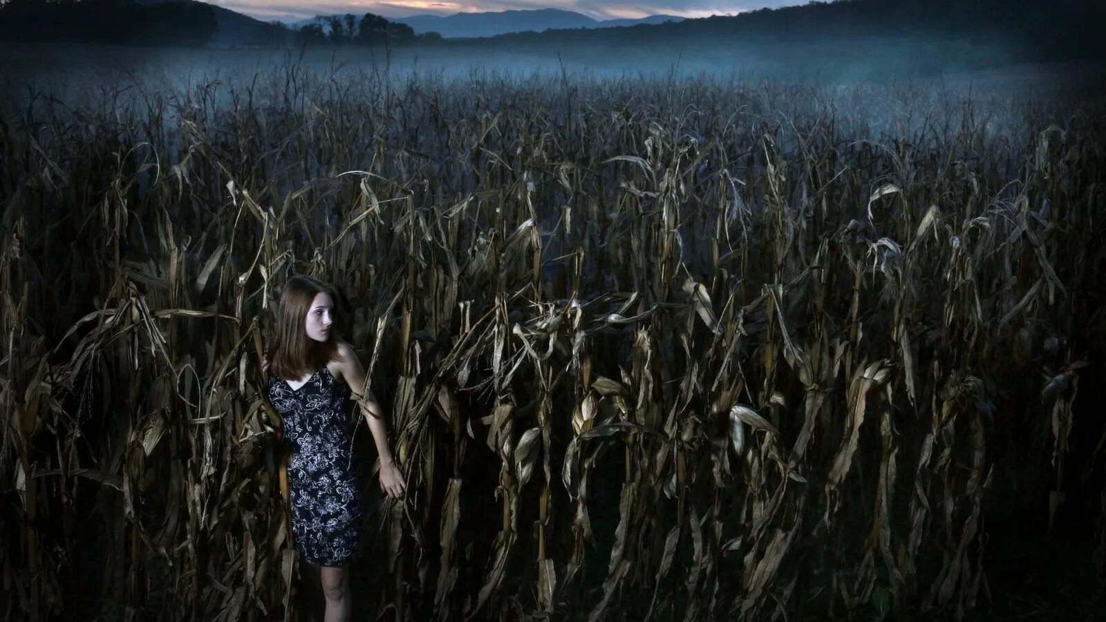 Девушка в поле. Девушка в поле ночью. Девушка в поле ночью. Девушка в поле ночью. Девушка в поле.