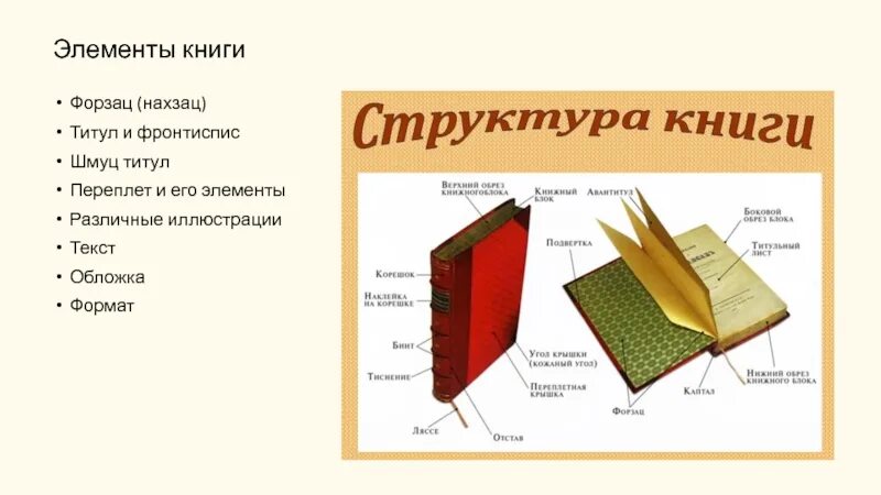 Какую книгу называют книга книг. Структурные элементы книги. Как называется часть книги сбоку. Строение книги форзац. Структура и строение книги.