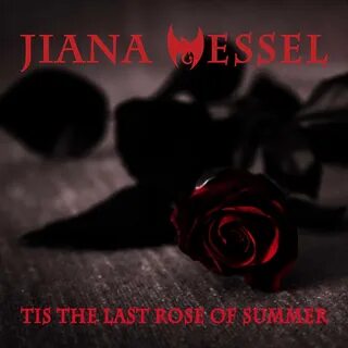 The last of rose