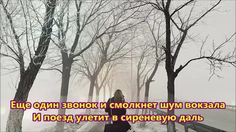 Не смолкающий шум