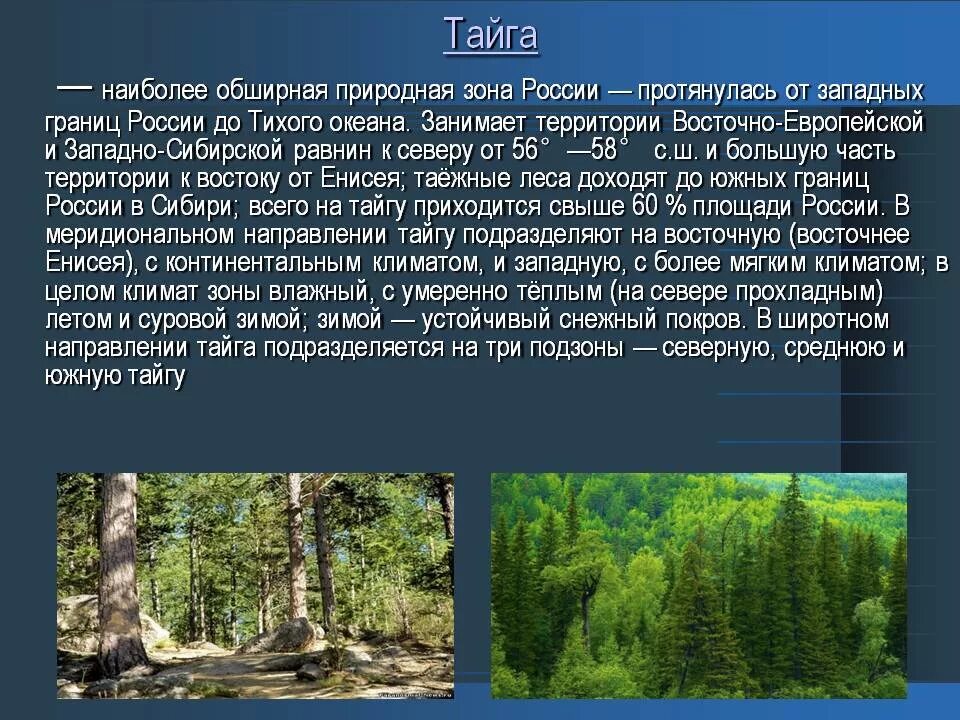 Описание природной зоны тайги 8 класс