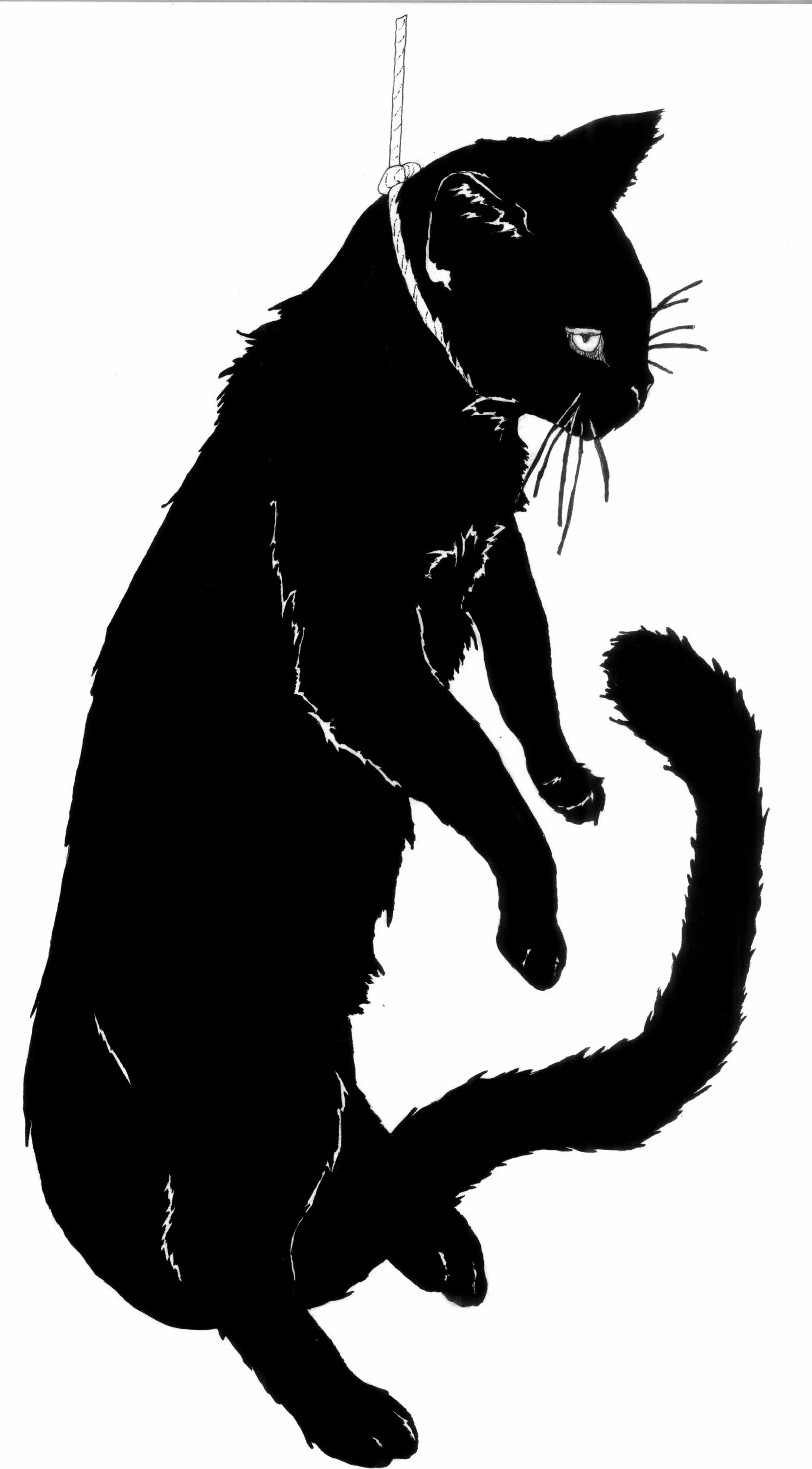 Повешенные кошки. Чёрный кот. Черный кот силуэт. Черные коты. Черный кот рисунок.
