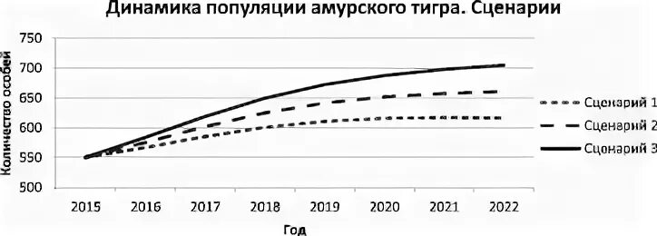 Амурская популяция