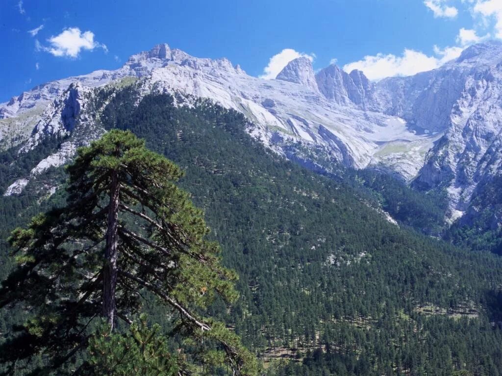 Mountain ancient mountain. Гора Олимп в Греции. Национальный парк Олимп Греция. Горный массив Олимп в Греции. Священная гора Олимп.